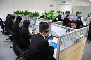 上海港茗投資管理 專業(yè)圖冊(cè)咨詢引領(lǐng)投資新視野